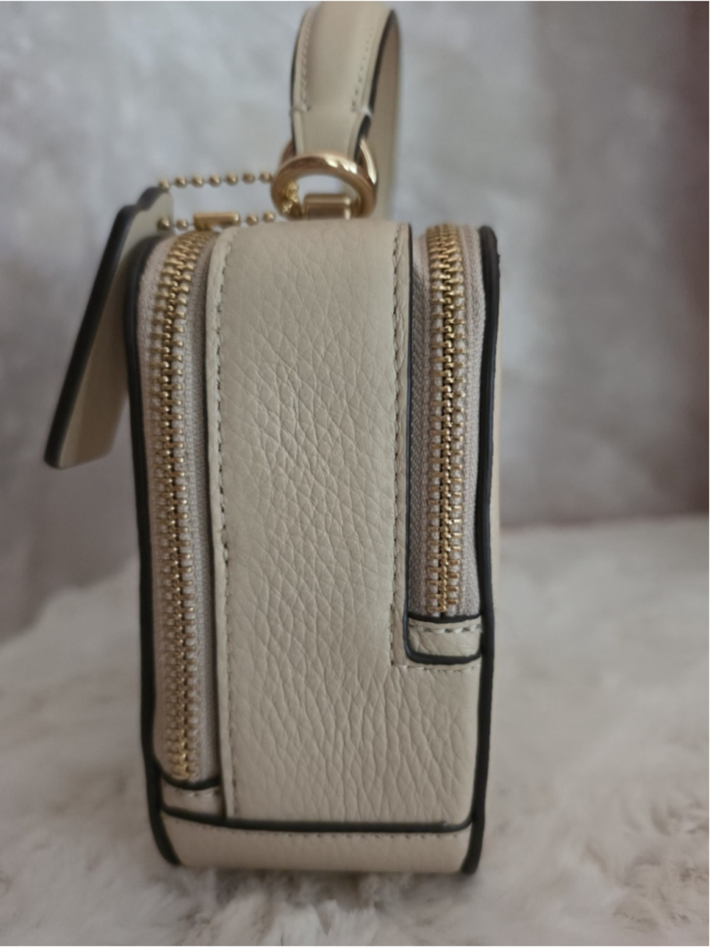 NWT Coach Tom Wesselmann Lunch Box Crossbody Ivory Leather CQ045 - Picture 4 of 12